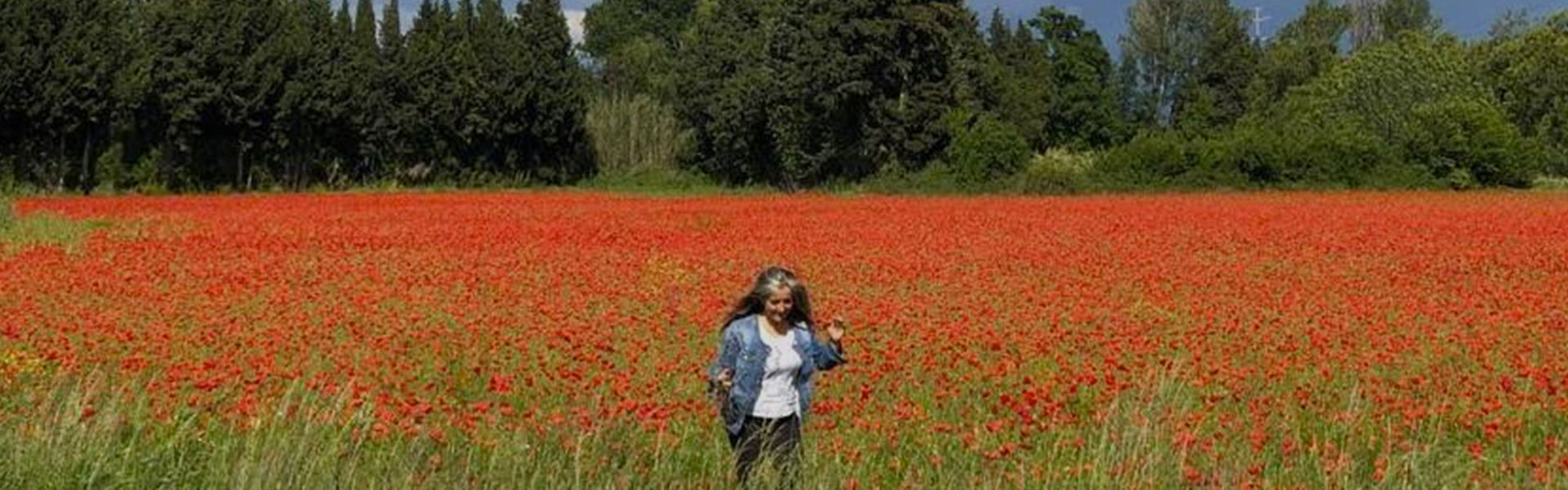 chi-sono celebrante laica e artigiana indipendente chi sono campo di papaveri