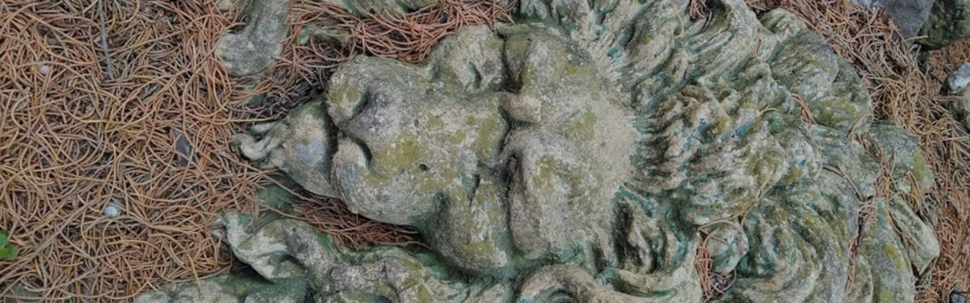 funerale amico a quattro zampe cerimonie laiche