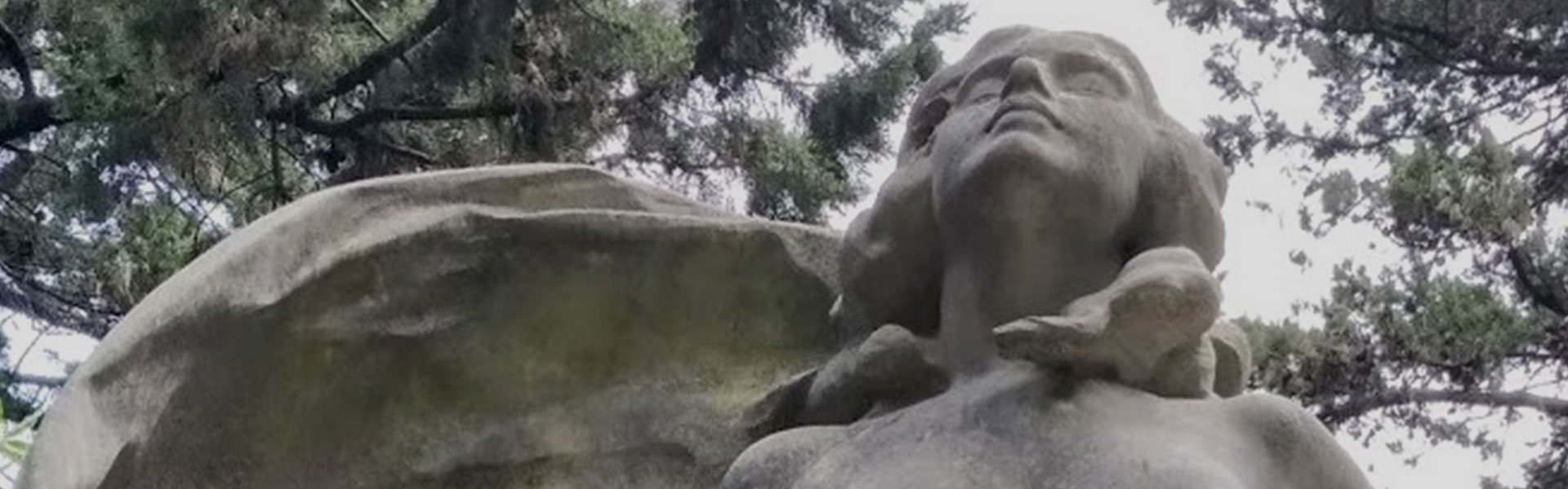 diario-volonta commemorazione defunti diario volontà funerarie funerale laico